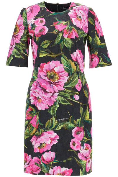 black floral cotton dress with peonies F6TMJT FSFN9 PEONIE FUXIA F.NERO