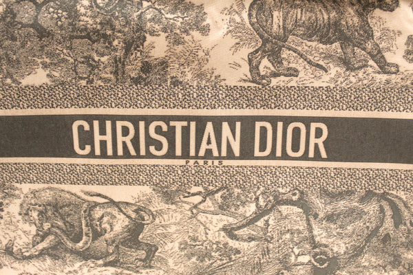 NEW Christian Dior Pink Toile De Jouy Diortravel Zipped Pouch | Italystation.com