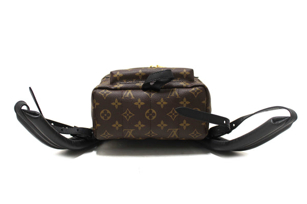 Louis Vuitton Classic Monogram Palm Springs PM Backpack