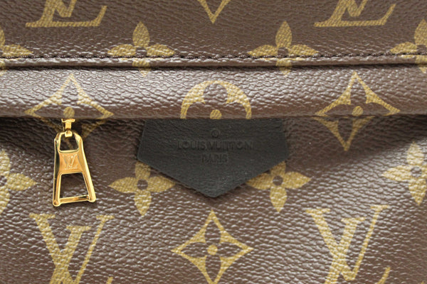 Louis Vuitton Classic Monogram Palm Springs PM Backpack