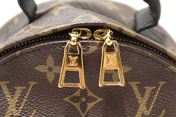 Louis Vuitton Classic Monogram Palm Springs PM Backpack
