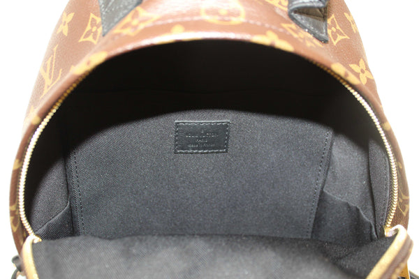Louis Vuitton Classic Monogram Palm Springs PM Backpack