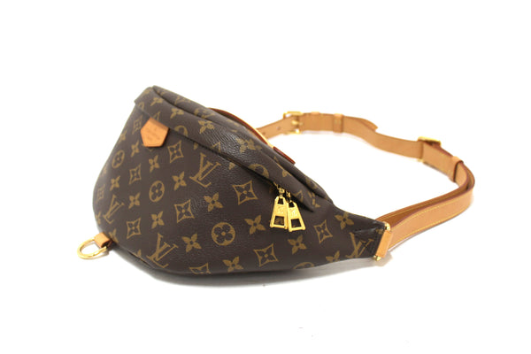 Louis Vuitton Classic Monogram Canvas Bumbag