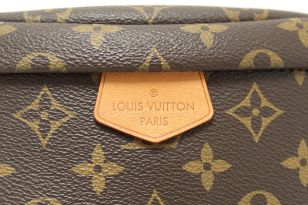 Louis Vuitton Classic Monogram Canvas Bumbag