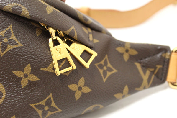 Louis Vuitton Classic Monogram Canvas Bumbag