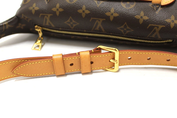 Louis Vuitton Classic Monogram Canvas Bumbag