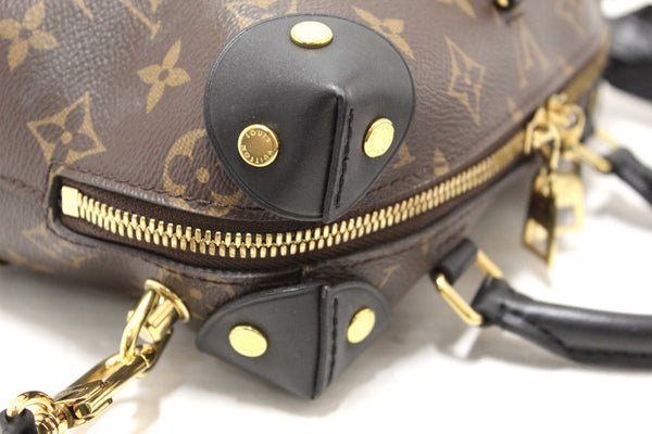 Louis Vuitton Classic Monogram Petite Malle Supple Crossbody Bag