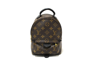 Louis Vuitton Classic Monogram Palm Springs Mini Backpack