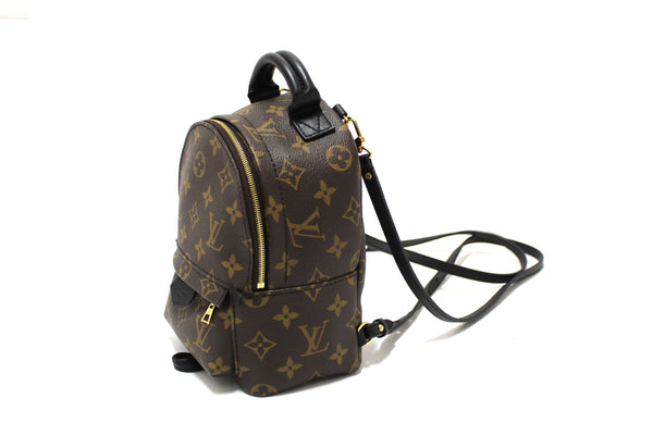Louis Vuitton Classic Monogram Palm Springs Mini Backpack