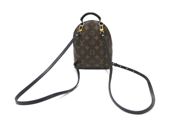 Louis Vuitton Classic Monogram Palm Springs Mini Backpack