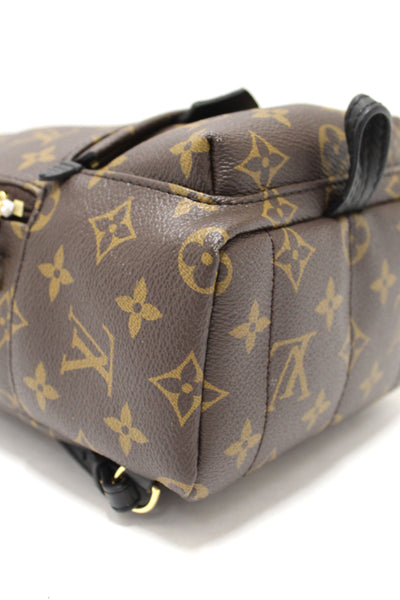 Louis Vuitton Classic Monogram Palm Springs Mini Backpack