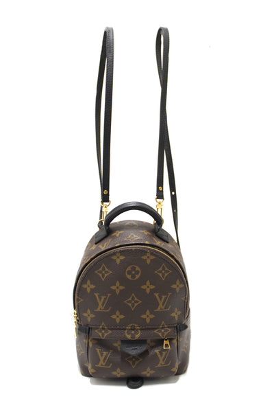 Louis Vuitton 2020 Monogram Palm Springs Mini