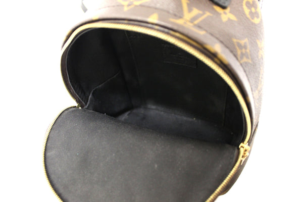 Louis Vuitton Classic Monogram Palm Springs Mini Backpack