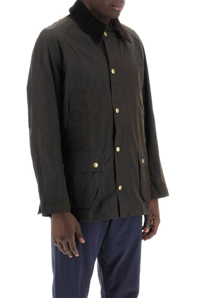 ashby waxed jacket MWX0339 OLIVE