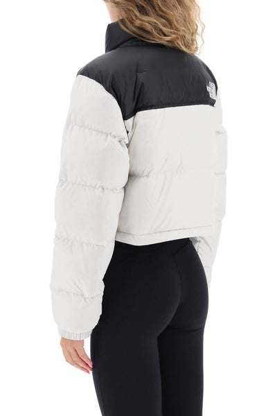 'nuptse' cropped down jacket NF0A5GGE WHITE DUNE/TNF BLACK