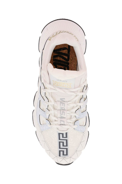 Versace trigreca sneakers 1004182 D18TCG WHITE GOLD