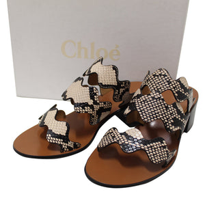 全新 Chloe Eternal 灰色皮革扇形 Tripstrap 厚跟涼鞋 CH28651 尺寸 37