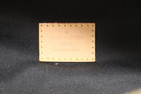 Louis Vuitton Classic Monogram Canvas Bumbag